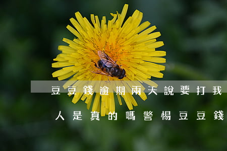 豆豆錢逾期兩天說要打我聯(lián)系人是真的嗎，警惕！豆豆錢逾期兩天聲稱要打你聯(lián)系人，真相何在？